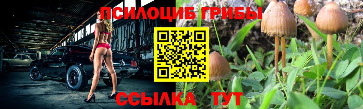 Галлюциногенные грибы Magic Shrooms Озёры