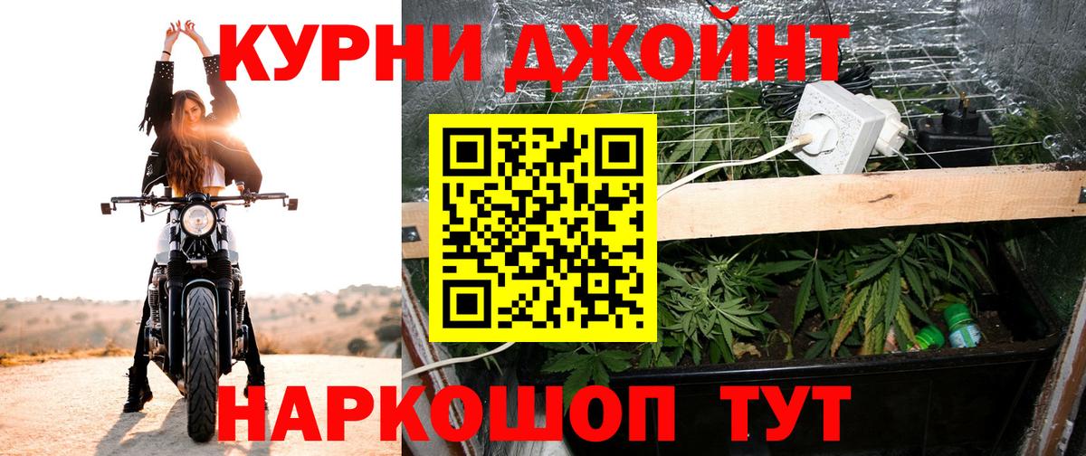 Конопля сатива  Марихуана ГИДРОПОН  Озёры  Вход с VPN  Бошки марихуана Ganja  Марихуана AK-47 
